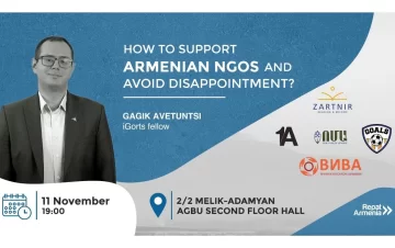 How to Support Armenian NGOs and Avoid Disappointment?
